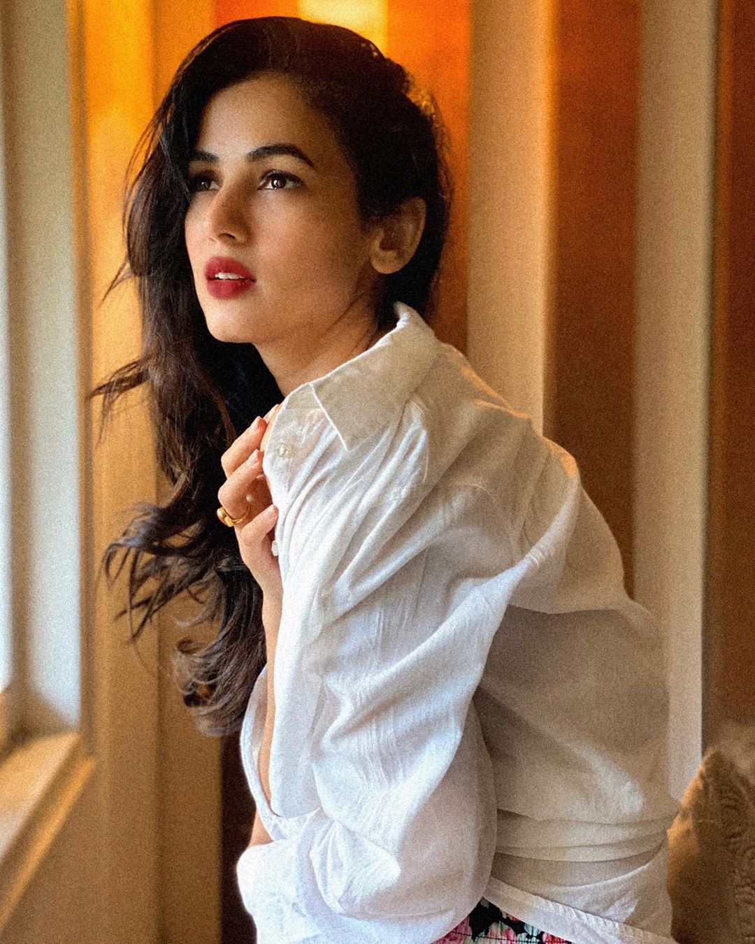 Sonal Chauhan 11 Best Photos, Sonal Chauhan 11 Pics, Sonal Chauhan 11 Images