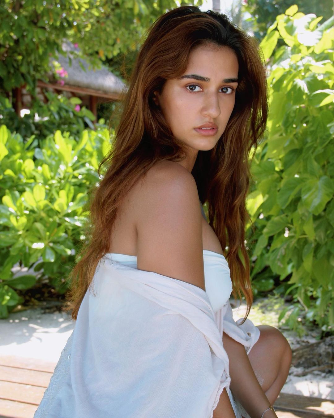 Disha Patani 21 Best Photos, Disha Patani 21 Pics, Disha Patani 21 Images