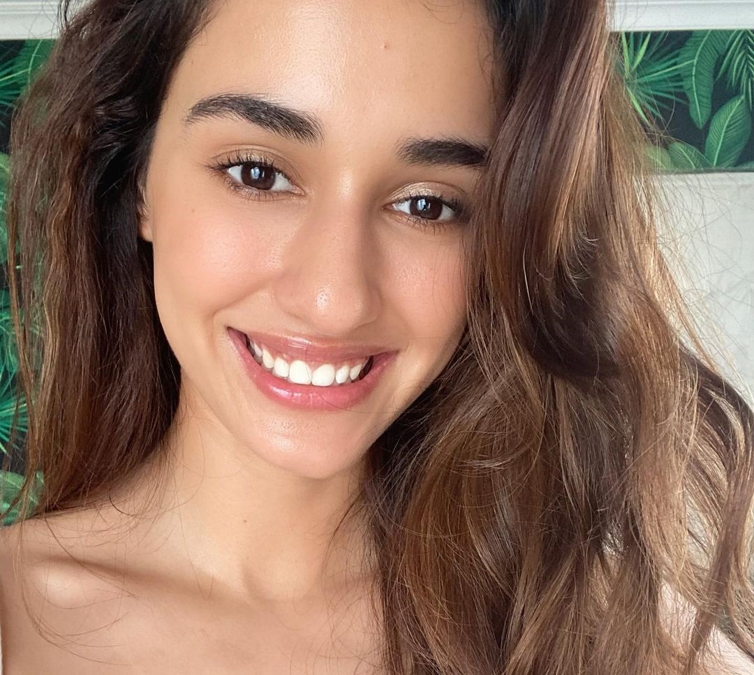 Disha Patani 27 Best Photos, Disha Patani 27 Pics, Disha Patani 27 Images